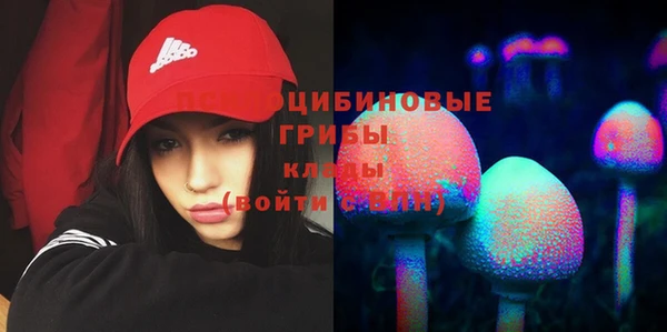метадон Алексин